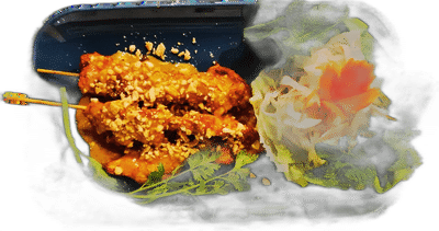 Satay Gà Vietdura (Vorspeise)